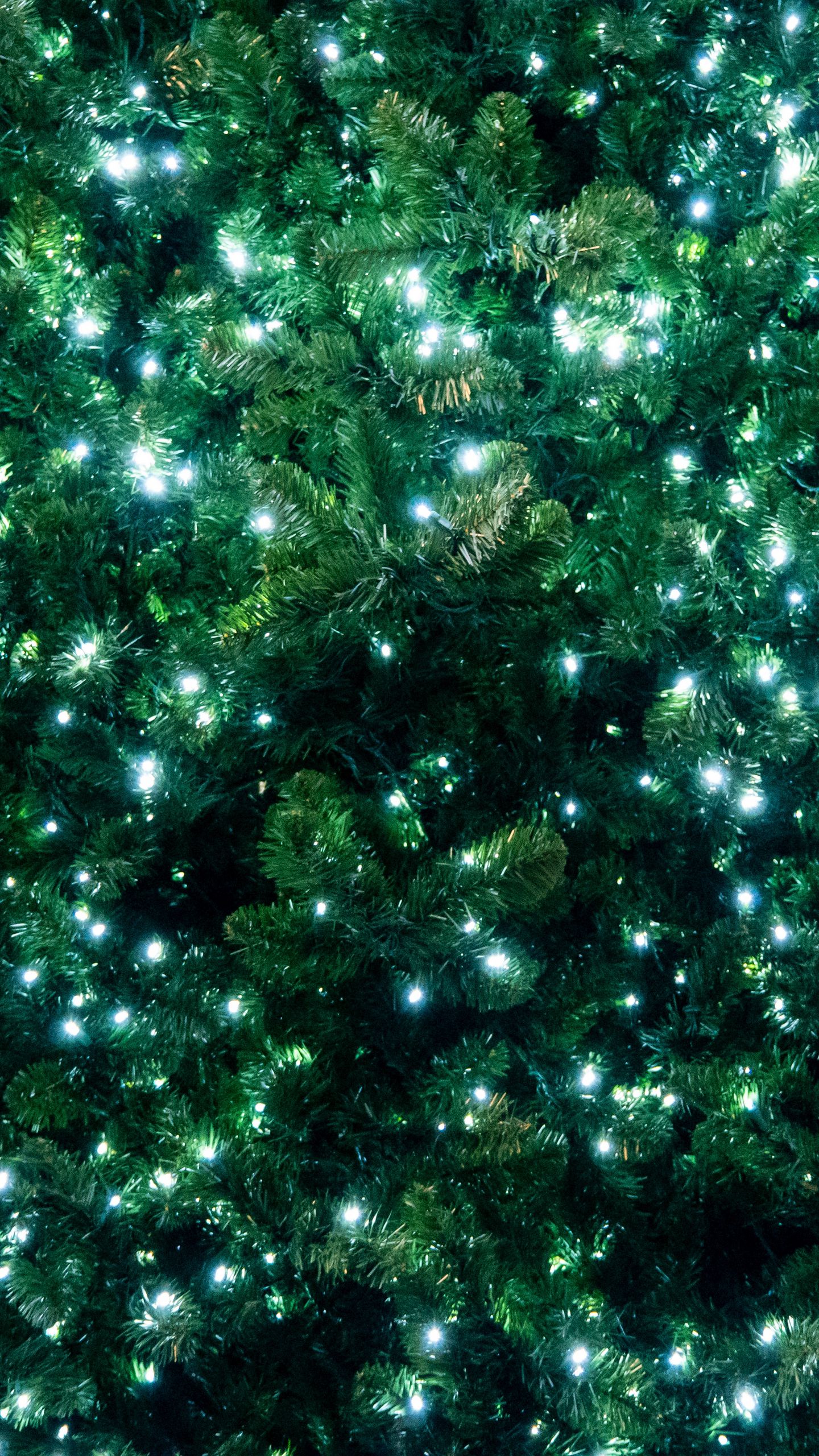 christmas_tree_garland_glow_7616863
